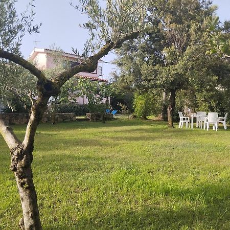 Appartamento In Villa Bruno Olbia Esterno foto