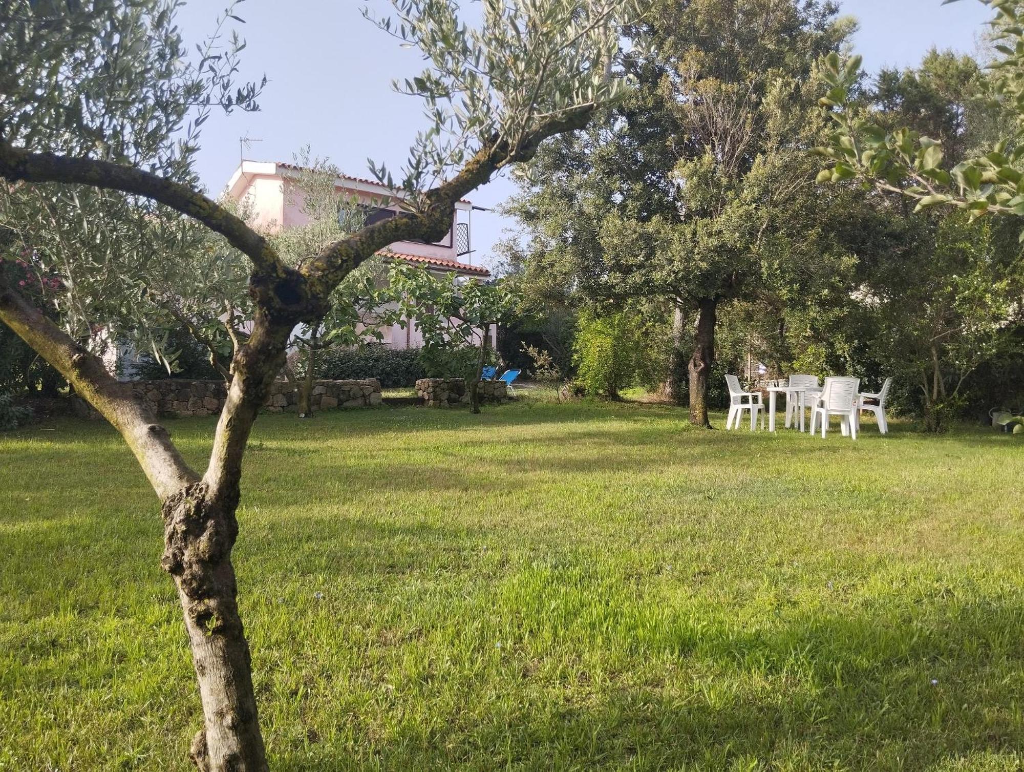 Appartamento In Villa Bruno Olbia Esterno foto