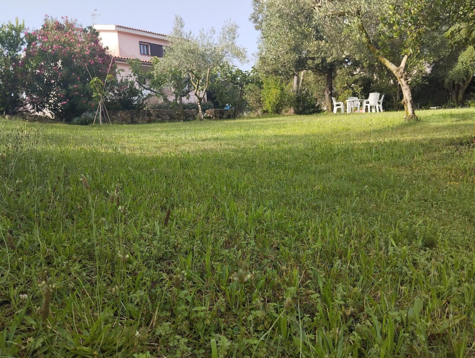 Appartamento In Villa Bruno Olbia Esterno foto